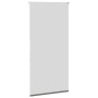 Estor Enrollable Opaco gris 85x150 cm Tela Ancho 80,7 cm de , Persianas y estores - Ref: Foro24-4011125, Precio: 17,92 €, Des...