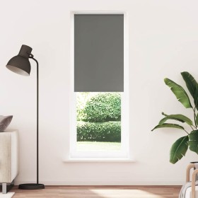 Estor Enrollable Opaco gris 70x230 cm Tela Ancho 65,7 cm de , Persianas y estores - Ref: Foro24-4011200, Precio: 37,68 €, Des...