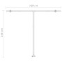 Toldo de pie retráctil manual naranja y marrón 300x250 cm de vidaXL, Toldos - Ref: Foro24-3069500, Precio: 323,57 €, Descuent...