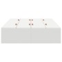 Marco de Cama de Almacenamiento Blanco 120x190 cm de , Camas y somieres - Ref: Foro24-3335421, Precio: 315,59 €, Descuento: %