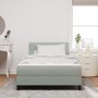 Cama con somier y colchón Gris Claro 120x200 cm Terciopelo de , Camas y somieres - Ref: Foro24-3339164, Precio: 386,33 €, Des...