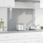 Luz de salpicadero para cocina gris clara 90x60x0,6 cm de vidrio templado de , Herramientas y utensilios de cocina - Ref: For...