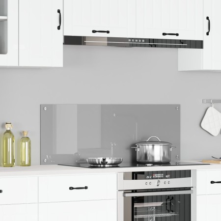 Luz de Cocina Gris Claro 110x40x0,6 cm de Vidrio Templado de , Herramientas y utensilios de cocina - Ref: Foro24-42001304, Pr...