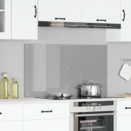 Luz de Respaldo de Cocina Gris Claro 110x60x0,6 cm Vidrio Templado de , Herramientas y utensilios de cocina - Ref: Foro24-420...