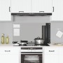 VidaXL Salpicadero de Cocina Gris Oscuro 110x60x0,6 cm Vidrio Templado de , Herramientas y utensilios de cocina - Ref: Foro24...