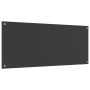 Respaldo de cocina gris oscuro 120x50x0,6 cm de cristal templado de , Herramientas y utensilios de cocina - Ref: Foro24-42001...