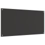Salpicadero de cocina Gris oscuro 120x60x0,6 cm Vidrio Templado de , Herramientas y utensilios de cocina - Ref: Foro24-420013...
