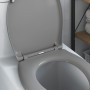 Asiento de Inodoro de Liberación Rápida con Cierre Suave Duroplast Gris de , Asientos de inodoros y bidés - Ref: Foro24-42002...