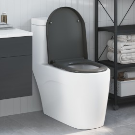 Asiento de inodoro de liberación rápida con cierre suave Duroplast Antracita de , Asientos de inodoros y bidés - Ref: Foro24-...