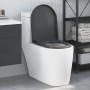 Asiento de inodoro de liberación rápida con cierre suave Duroplast Antracita de , Asientos de inodoros y bidés - Ref: Foro24-...