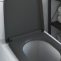 Asiento de inodoro de liberación rápida con cierre suave Duroplast Antracita de , Asientos de inodoros y bidés - Ref: Foro24-...
