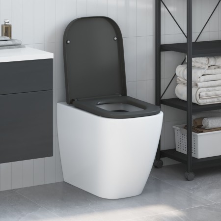 Asiento de inodoro de liberación rápida con cierre suave Duroplast antracita de , Asientos de inodoros y bidés - Ref: Foro24-...
