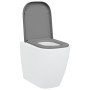 Asiento de inodoro de liberación rápida con cierre suave Duroplast Gris de , Asientos de inodoros y bidés - Ref: Foro24-42002...