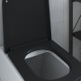 Asiento de inodoro de liberación rápida con cierre suave de duropal negro de , Asientos de inodoros y bidés - Ref: Foro24-420...
