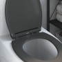 Asiento de Inodoro de Liberación Rápida con Cierre Suave Duroplast Antracita de , Asientos de inodoros y bidés - Ref: Foro24-...