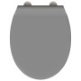 Asiento de inodoro de liberación rápida con cierre suave Duroplast Gris de , Asientos de inodoros y bidés - Ref: Foro24-42002...