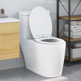 Comprar Asiento de Inodoro de Liberación Rápida