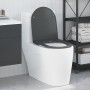Asiento de inodoro que se cierra suave y rápido Duroplast Antracita de , Asientos de inodoros y bidés - Ref: Foro24-42002366,...