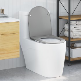 Comprar Asiento de inodoro fácil de quitar con