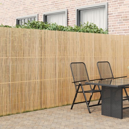 Valla de Bambú 600x180 cm de , Paneles de vallas - Ref: Foro24-42006507, Precio: 321,00 €, Descuento: %