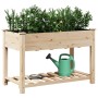 Jardín Planter con Estante 115x59x76 cm Madera Maciza de Abeto de , Maceteros y jardineras - Ref: Foro24-42006567, Precio: 87...