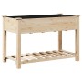 Jardín Planter con Estante 115x59x76 cm Madera Maciza de Abeto de , Maceteros y jardineras - Ref: Foro24-42006567, Precio: 87...