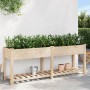 Macetero de jardín con estante 203x53x76 cm de madera maciza de abeto de , Maceteros y jardineras - Ref: Foro24-42006569, Pre...
