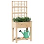Jardín de Macetero con Enrejado y Estante 71x37x152 cm Madera Maciza de Abeto de , Maceteros y jardineras - Ref: Foro24-42006...