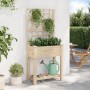 Jardín de Macetero con Enrejado y Estante 71x37x152 cm Madera Maciza de Abeto de , Maceteros y jardineras - Ref: Foro24-42006...