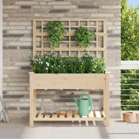 Plantador de Jardín con Enrejado y Estante 115x59x152 cm de Madera Maciza de Pino de , Maceteros y jardineras - Ref: Foro24-4...