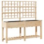 Plantador de Jardín con Enrejado y Estante 161x43x152 cm Madera Maciza de Pino de , Maceteros y jardineras - Ref: Foro24-4200...