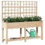 Plantador de Jardín con Enrejado y Estante 161x43x152 cm Madera Maciza de Pino de , Maceteros y jardineras - Ref: Foro24-4200...
