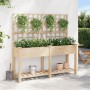 Plantador de Jardín con Enrejado y Estante 161x43x152 cm Madera Maciza de Pino de , Maceteros y jardineras - Ref: Foro24-4200...