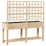 Plantador de Jardín con Enrejado y Estante 161x43x152 cm Madera Maciza de Pino de , Maceteros y jardineras - Ref: Foro24-4200...