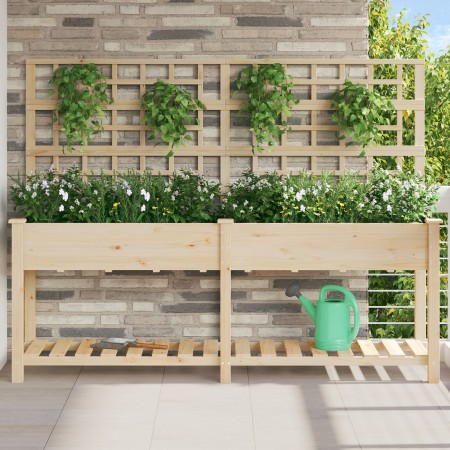 Macetero con Enrejado y Estante 203x53x152 cm de Madera Maciza de Pino de , Maceteros y jardineras - Ref: Foro24-42006573, Pr...