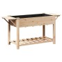 Macetero de Jardín con Estantes 155x59x76 cm de Madera Maciza de Pino de , Maceteros y jardineras - Ref: Foro24-42006575, Pre...