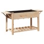 Macetero de Jardín con Estantes 155x59x76 cm de Madera Maciza de Pino de , Maceteros y jardineras - Ref: Foro24-42006575, Pre...