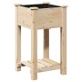 Plantador de Jardín  con Estante 45x45x76 cm Madera Sólida de Pino | Foro24.es | Tu tienda online para hogar, jardín y más Foro24.es
