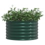 Cama elevada para jardín Verde 80x80x44 cm de acero galvanizado de , Maceteros y jardineras - Ref: Foro24-42008131, Precio: 7...