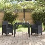 Silla de Jardín Juego de 2 Antracita Plástico Estandar Duradera de , Sillas de jardín - Ref: Foro24-847448, Precio: 83,09 €, ...