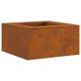 Fogata Cuadrada 60x60x30 cm Acero Corrosion de , Chimeneas - Ref: Foro24-858919, Precio: 92,24 €, Descuento: %