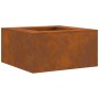 Hoguera Cuadrada 80x80x40 cm de Acero Envejecido de , Chimeneas - Ref: Foro24-858921, Precio: 135,53 €, Descuento: %