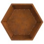 Hoguera Hexagonal 75x75x28 cm Acero Resistente a la Intemperie de , Chimeneas - Ref: Foro24-858997, Precio: 97,71 €, Descuent...