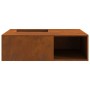 Hoguera con almacenamiento para leña 100x100x30 cm Acero envejecido de , Chimeneas - Ref: Foro24-859001, Precio: 165,87 €, De...