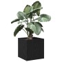 caja de jardinería en madera de roble negra 40x40x40 cm de , Maceteros y jardineras - Ref: Foro24-862786, Precio: 41,27 €, De...