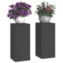 Esquineros de Plantas de Pilar 2 pcs Negro 24x24x55 cm Acero de , Soportes para macetas - Ref: Foro24-865813, Precio: 65,75 €...