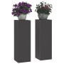 Soportes para Plantas Exteriores Pilar 2 pcs Negro 24x24x75 cm Acero de , Soportes para macetas - Ref: Foro24-865820, Precio:...