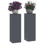 Soportes para Plantas Exteriores Pilar 2 pcs Antracita 24x24x75 cm Acero de , Soportes para macetas - Ref: Foro24-865822, Pre...