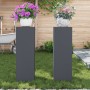 Soportes para Plantas Exteriores Pilar 2 pcs Antracita 24x24x75 cm Acero de , Soportes para macetas - Ref: Foro24-865822, Pre...