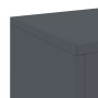 Soportes para Plantas Exteriores Pilar 2 pcs Antracita 24x24x75 cm Acero de , Soportes para macetas - Ref: Foro24-865822, Pre...